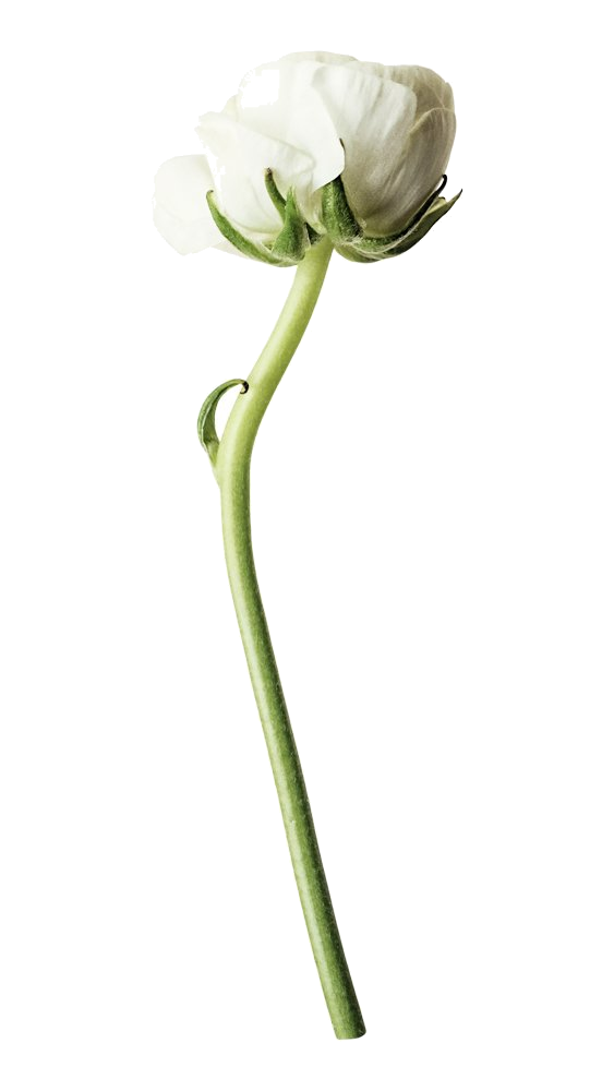 Symbol für Britt Davidsen ausgewählt