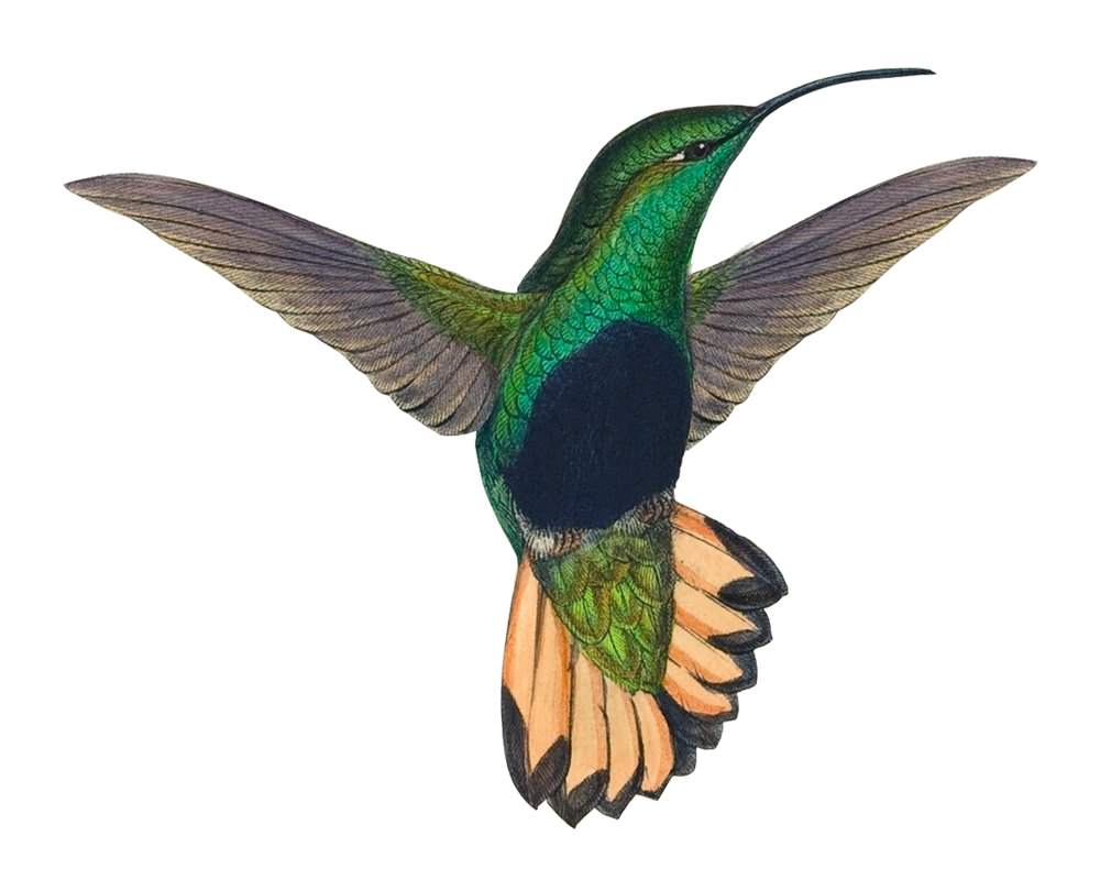 Symbol valgt for Katrine Gilberg