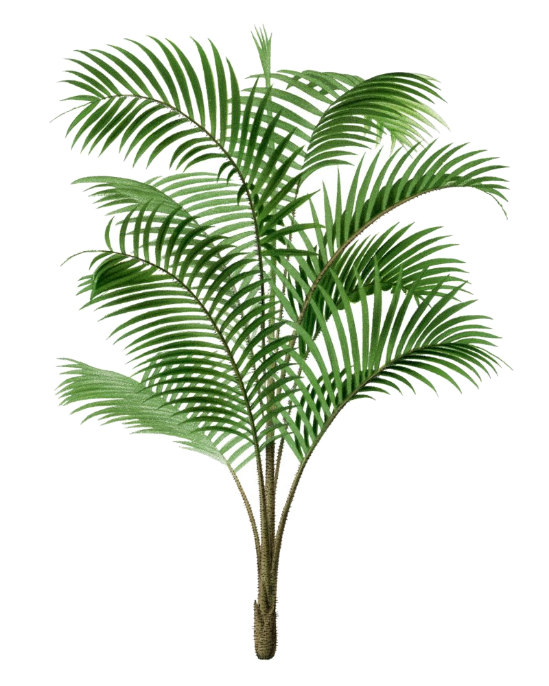 Symbol chosen for Sarah Jakobsen