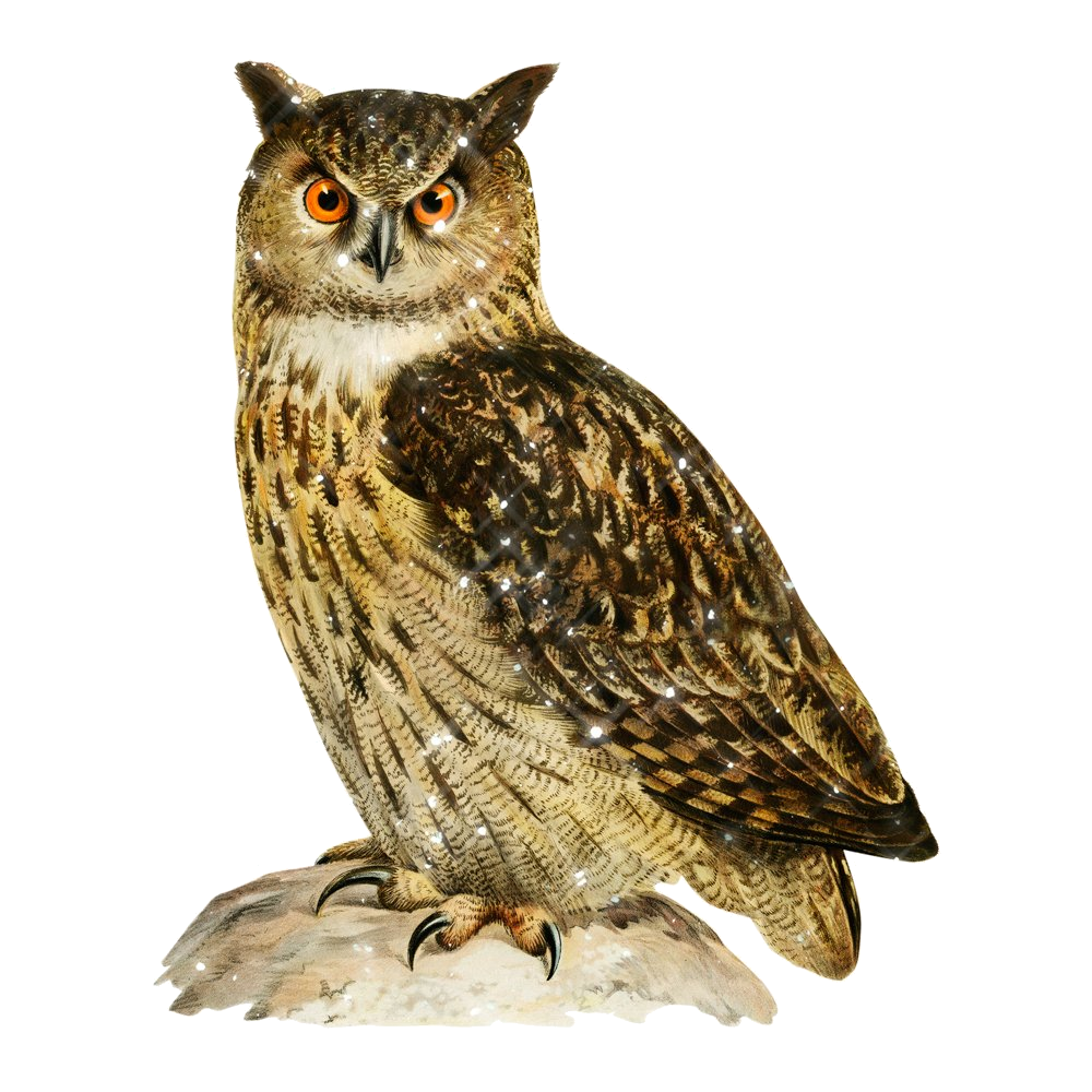 Henkilökohtainen symboli: Susanne Schustin